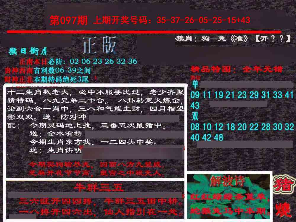 097期新港内幕[图]